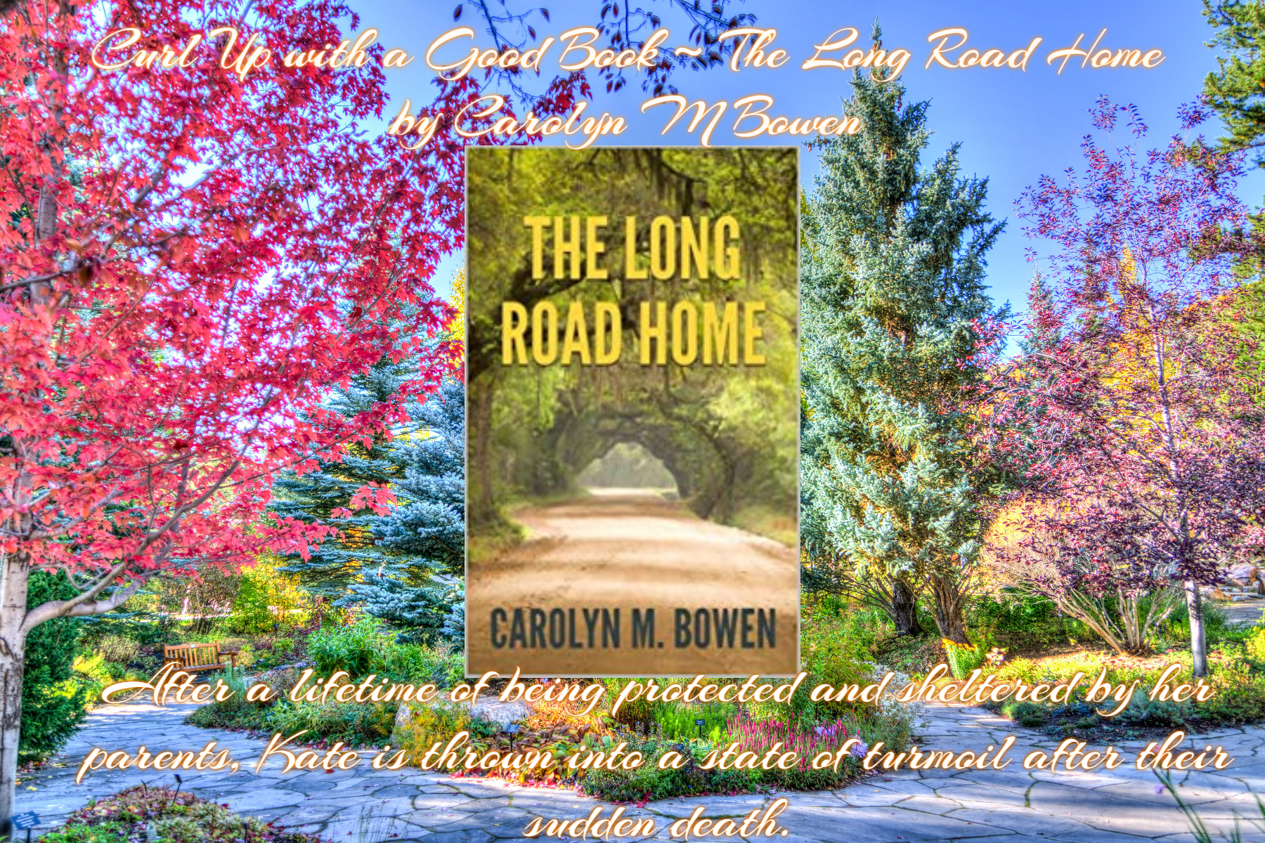 Curl up with a good book long road home carolyn bowen